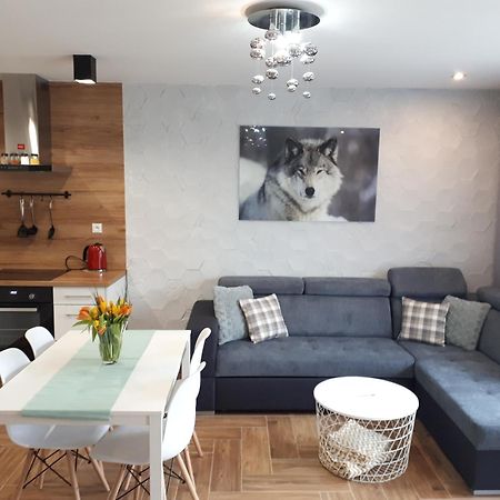 Apartamenty Pod Dzikowcem Boguszów-Gorce Eksteriør billede