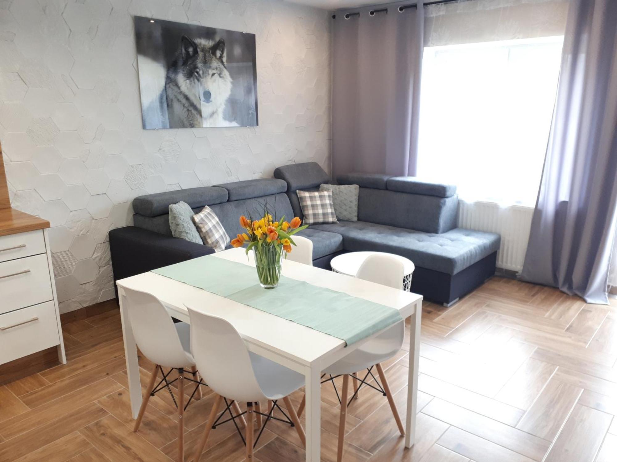 Apartamenty Pod Dzikowcem Boguszów-Gorce Eksteriør billede