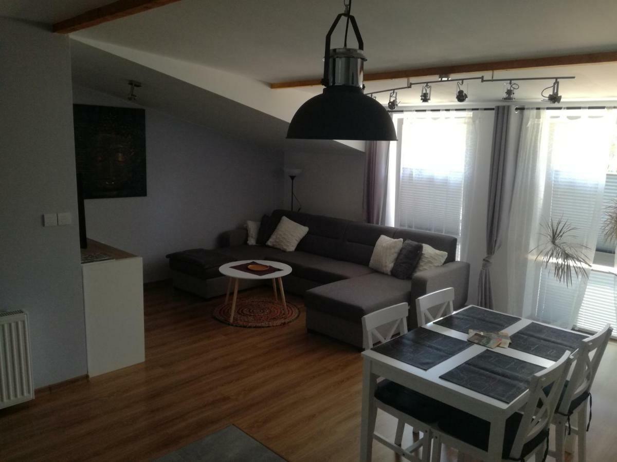 Apartamenty Pod Dzikowcem Boguszów-Gorce Eksteriør billede
